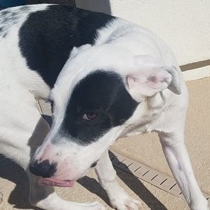 Meet your Posher, Townes